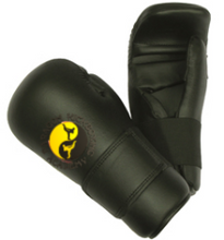 Load image into Gallery viewer, Full Male Paragon Fight Package